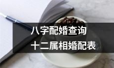 通过查询八字配婚，掌握十二生肖的完美婚配表，提高姻缘匹配度！