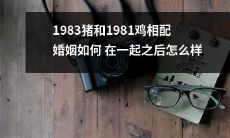 《1983年的猪和1981年的鸡结合在一起后的婚姻如何发展？》