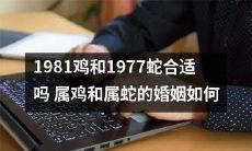 属鸡和属蛇的婚姻是否适合？1981年出生的属鸡和1977年出生的属蛇如何相处？