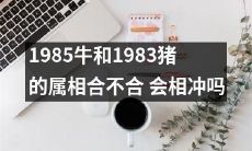 1985年出生的牛和1983年出生的猪的属相是否兼容？这两个生肖是否会发生相冲？