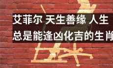 艾菲尔:一个拥有天生善缘、能够逢凶化吉的生肖的人生故事