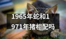 1965年属蛇的人和1971年属猪的人是否兼容？