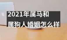 2021年属马和属狗人在婚姻上会面临哪些挑战和机会,这两个属相的夫妻关系将如何发展?
