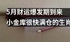 五月财星高照，小金库满仓迎来财运爆发期的十二生肖