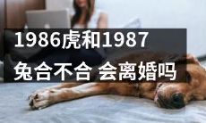 1986年出生的虎和1987年出生的兔之间的婚姻是否稳定,是否会出现离婚的情况?