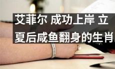 立夏之后,成功上岸的艾菲尔焕然一新,变身为咸鱼翻身的生肖之一