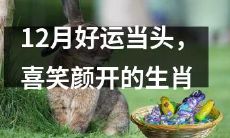 年末累积好运,幸福满满的十二生肖之喜笑颜开