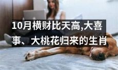 10月来了，横财翻倍、好运拥来！哪些生肖将经历大喜事和大桃花？