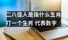 请问什么生肖可以代表数字，并能够被形容为“二八佳人”？