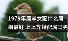 1979年出生的属羊女适合和哪个属相男性结婚？据说和属马男最为配对！