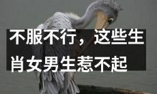 如果你不想找麻烦，一定要远离这些生肖女，因为男生们惹不起！