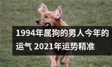 预测:根据星座占星和命理学,探究1994年属狗的男性在2021年的各种运势表现及其可能的未来趋势