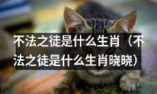 用什么生肖来形容不法之徒（以晓晓的观点）
