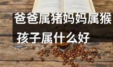 根据父母属相，推断孩子属相：如果父亲属猪，母亲属猴，那么孩子应该属什么好？