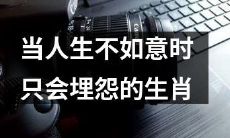 那些在人生不如意时只会埋怨的生肖人们