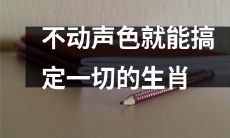 如何毫不起眼地完成所有事情：探讨具有这种特质的生肖
