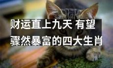 预测2022年：财源滚滚，四大生肖机遇多多，有望大展宏图，提升财运，成就人生豪华盛宴！