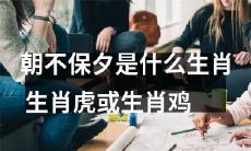 生肖鸡和生肖虎：哪个生肖被称为“朝不保夕”的可能性更大？