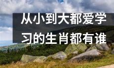 哪些属相的人都有学习天赋并热爱学习？