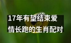 经过漫长跋涉的爱情，这17个生肖配对在2017年可能会迎来终结