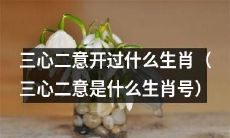 哪些生肖号码属于三心二意（拿捏不定）？