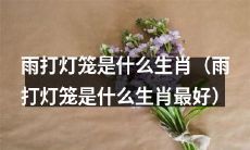 「请问，雨打灯笼是什么样的生肖？哪种生肖最适合被比喻为雨打灯笼？」