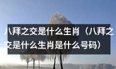 探究八拜之交生肖及其对应的幸运号码是什么？
