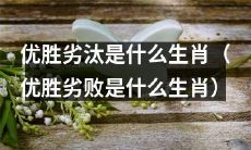 哪些生肖会在优胜劣败中脱颖而出?