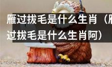 哪种生肖会进行雁过拔毛行为？