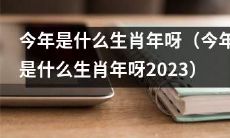 2023年究竟是哪一种生肖年？——探寻即将到来的中国农历动物年周期