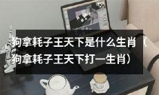 以生肖为谜底的狗拿耗子王天下猜测：哪个生肖与此谜语相符？