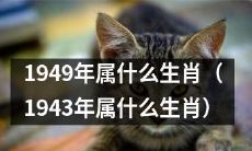 根据中国农历，1949年（或1943年）出生的人属于哪种生肖？