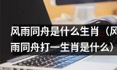 请问哪个生肖能代表“风雨同舟”这个成语呢?