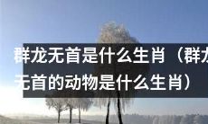 何种生肖代表群龙无首的动物形象？