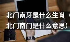 什么生肖属于北门南门？（解读北门南门的生肖象征）
