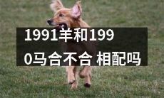 1991年出生的羊和1990年出生的马之间存在适配问题吗？