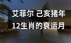 艾菲尔庆祝己亥猪年：深入探究12生肖在衰运月中的命运起伏