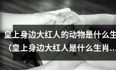 在皇帝的侧身,哪个生肖是备受崇拜的走红之人?