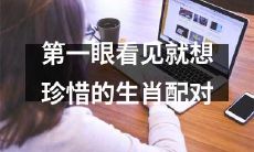 邂逅撞见，耳畔靡音，一眼看见就想珍惜的十二生肖完美配对