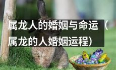 探究属龙人的婚姻是否影响命运轨迹：从属龙人的婚姻运程入手