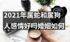 2021年属蛇和属狗人的依据生肖的匹配度，其感情是否默契且婚姻关系稳定？
