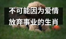 以事业为重,这些生肖不会因爱情而妥协、放弃