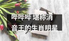 探秘最出彩!堪称消音王的生肖明星,哔哔哔为你揭秘