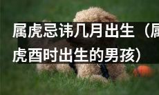 探究男性属虎酉时出生的几月忌讳有哪些？