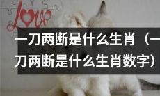 哪些生肖或数字代表“一刀两断”？