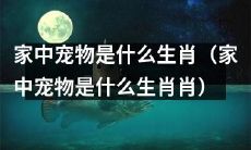 你家里的宠物属于哪个生肖?