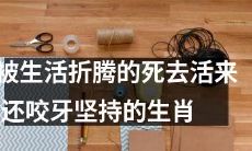 十二生肖中，勇敢坚毅的那些，虽经历种种生活艰辛，却始终毫不放弃，虎视眈眈，挥斥方遒，咬牙生存，闪耀人生