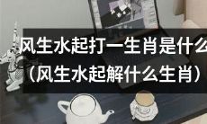 掀起波澜的元素组合 - 风生水起，指向哪个生肖？（指示哪个生肖的风生水起现象）