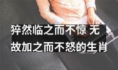 十二生肖中能够在意外情况下保持镇定、在无缘无故遭遇挑衅时也能保持平静的生肖