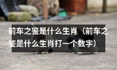 你知道前车之鉴是什么生肖吗？根据历史经验，它应该是哪一种动物呢？（附数字）